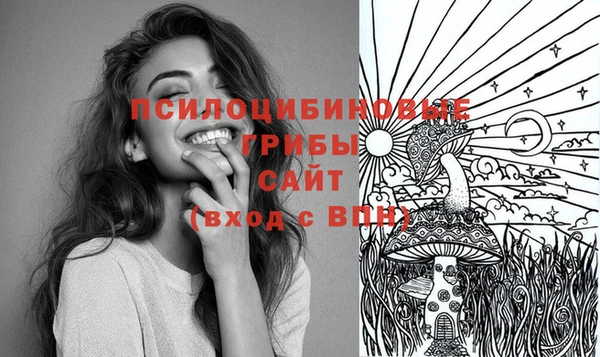 MDMA Premium VHQ Вяземский