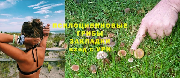 а пвп мука Володарск