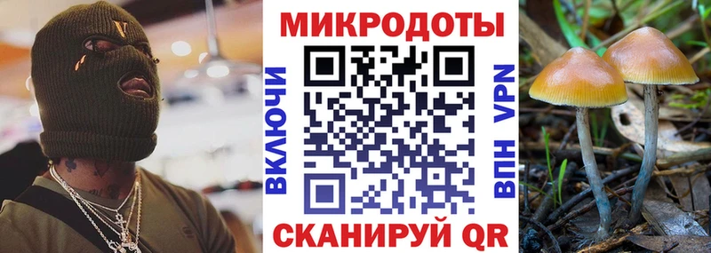 Псилоцибиновые грибы Psilocybe  Братск 